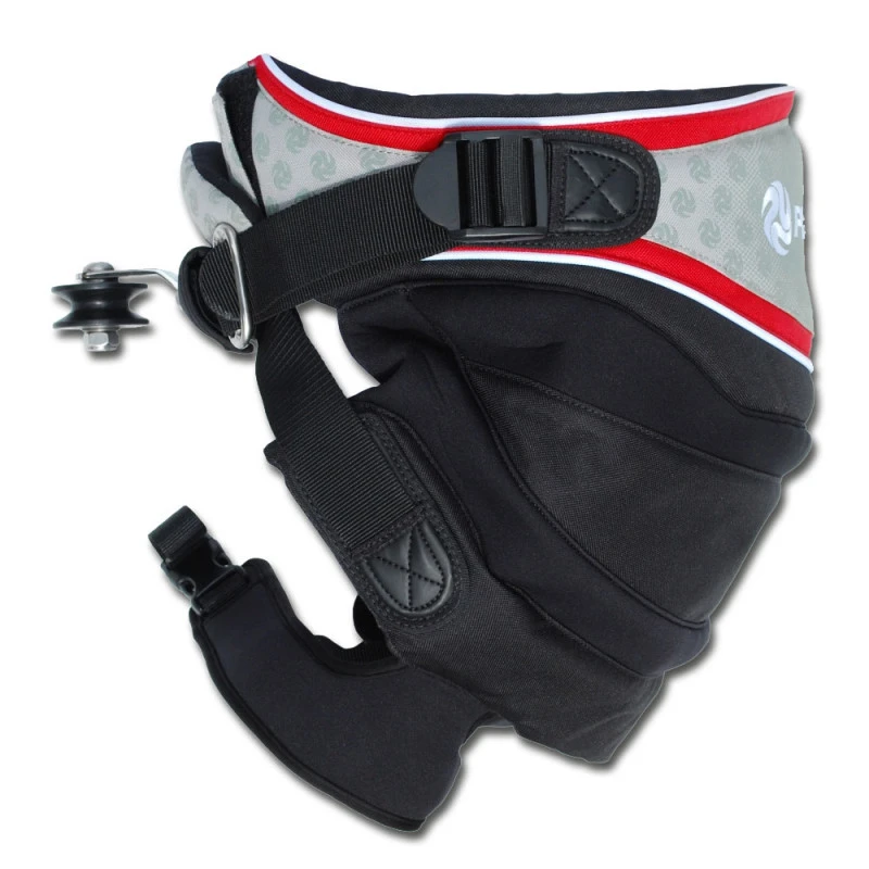 HARNAIS BUGGY PETER LYNN DIVINE SEAT 2 HARNAIS BUGGY PETER LYNN DIVINE SEAT – Image 2