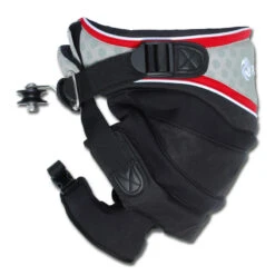 HARNAIS BUGGY PETER LYNN DIVINE SEAT