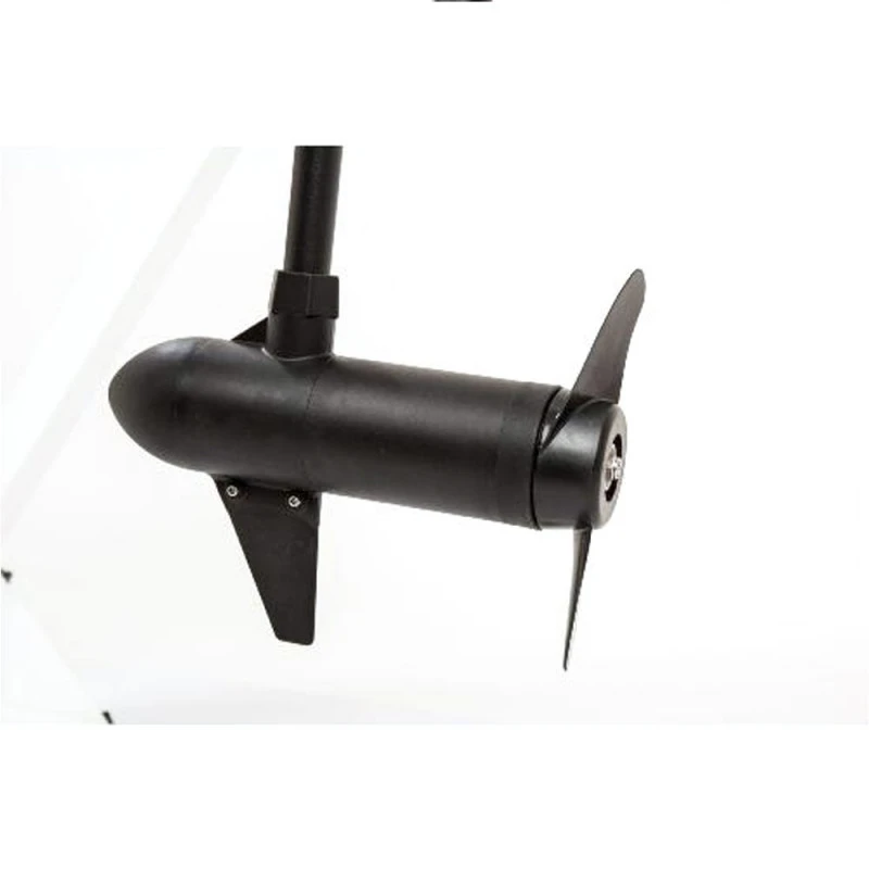 MOTEUR HASWING OSAPIAN 55 LBS 4 MOTEUR HASWING OSAPIAN 55 LBS – Image 4